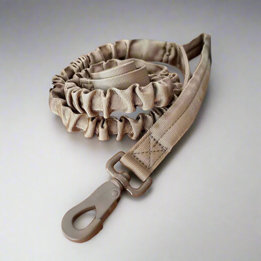 Stretchy dog leash