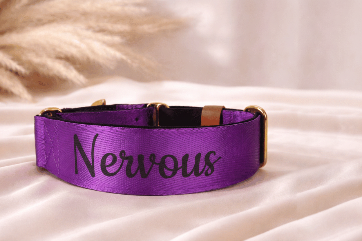 Nervous dog collar