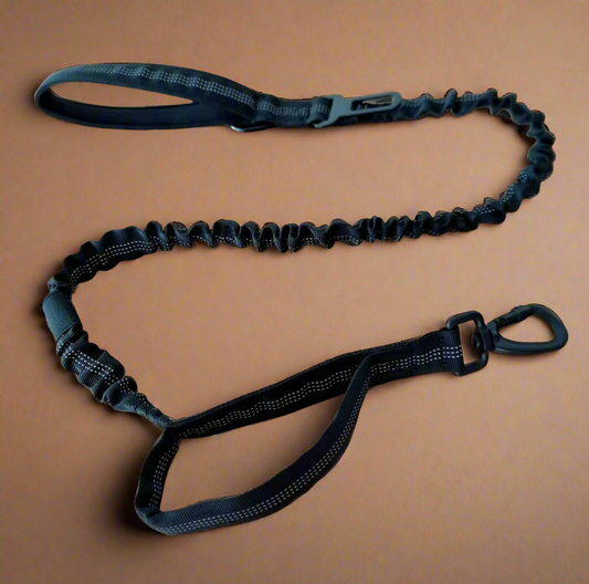 Black bungee dog leash