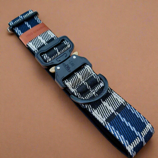 Blue tartan dog collar