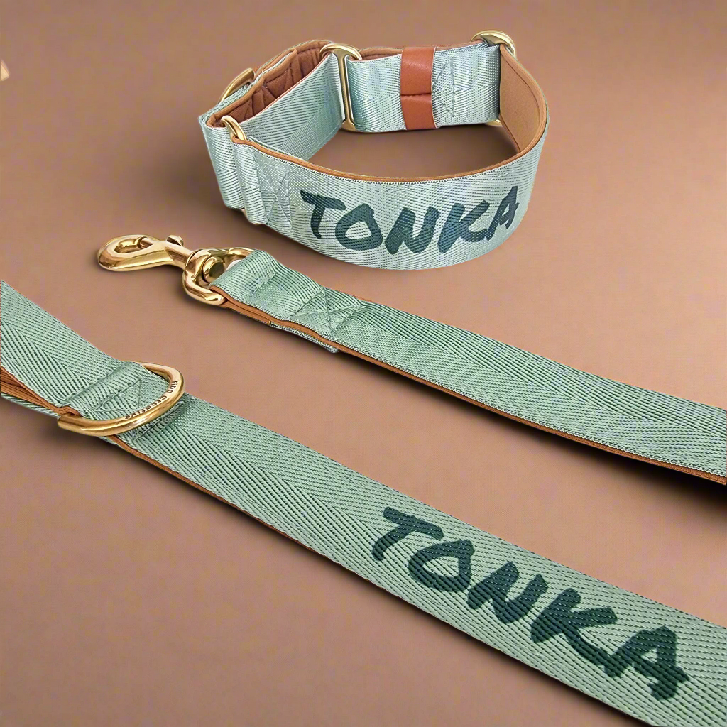 Sage Green Martingale Dog Collar – Padded, personalised with Dog’s Name Optional