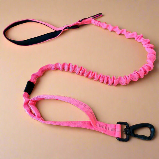 Pink bungee dog leash reflective