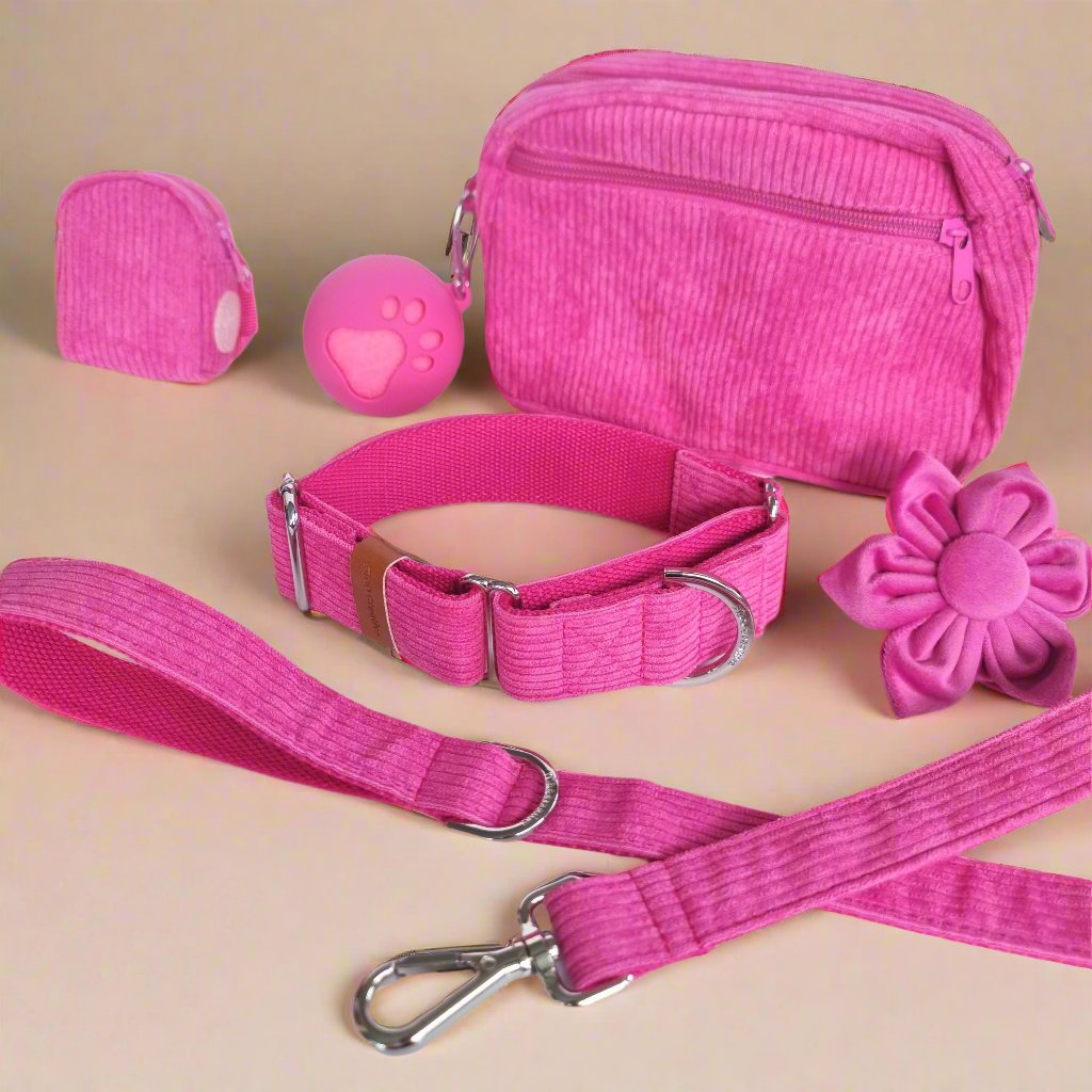 Pink dog collar and leash set
