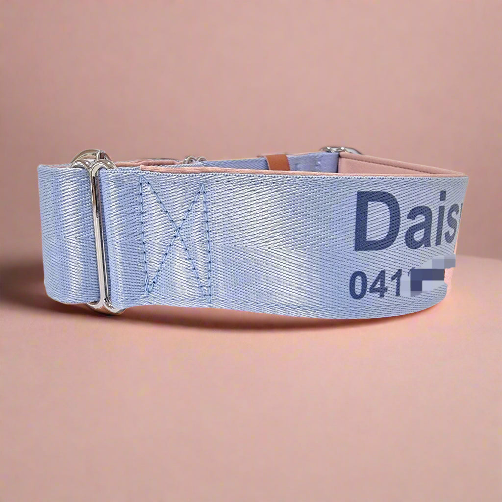 Light blue Martingale Dog Collar – Padded, personalised with Dog’s Name Optional