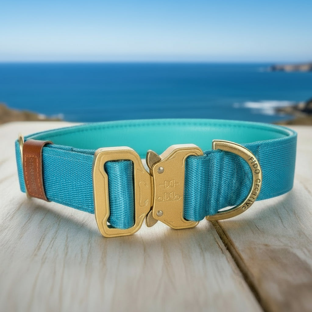 Bright Blue padded dog collar with buckle - Optional name dog collar