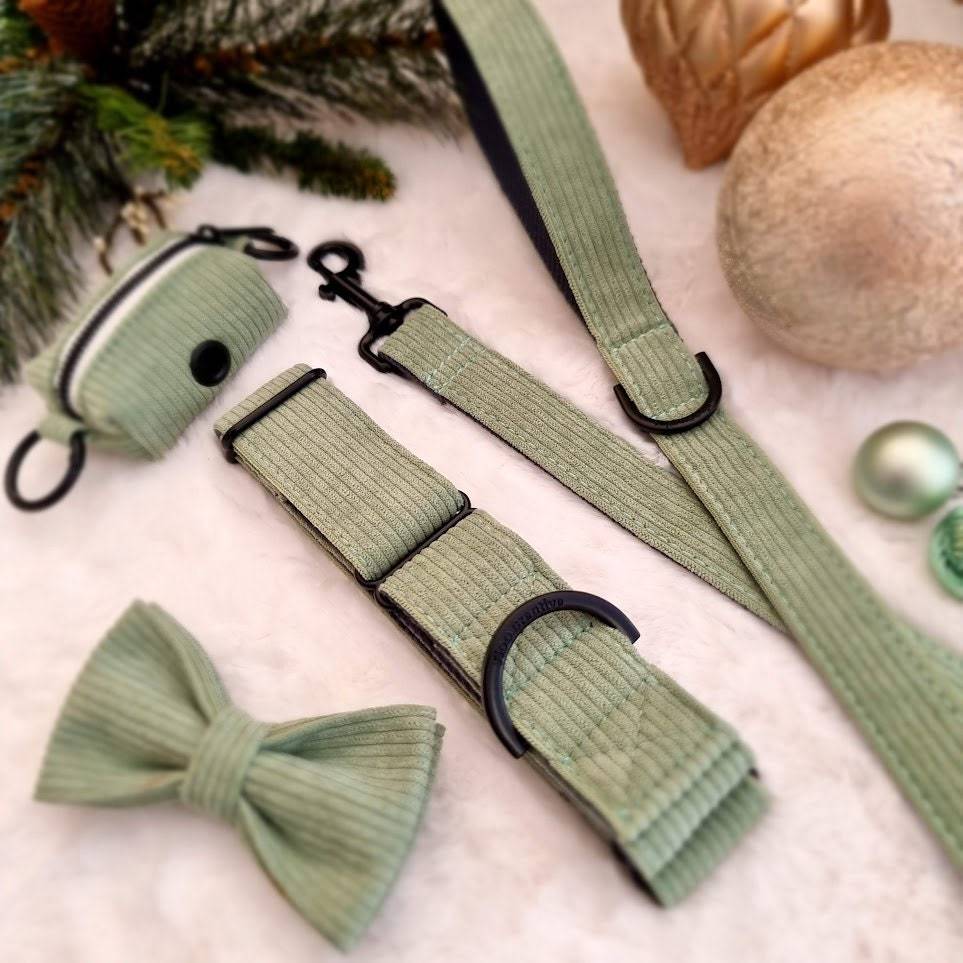 a close up of a pair of scissors