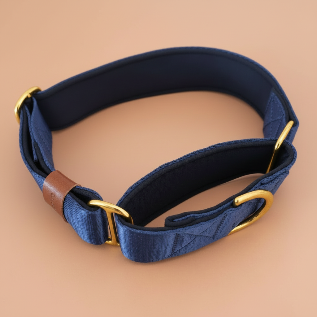 Martingale Collars Explained: What Are They and How Do They Work?