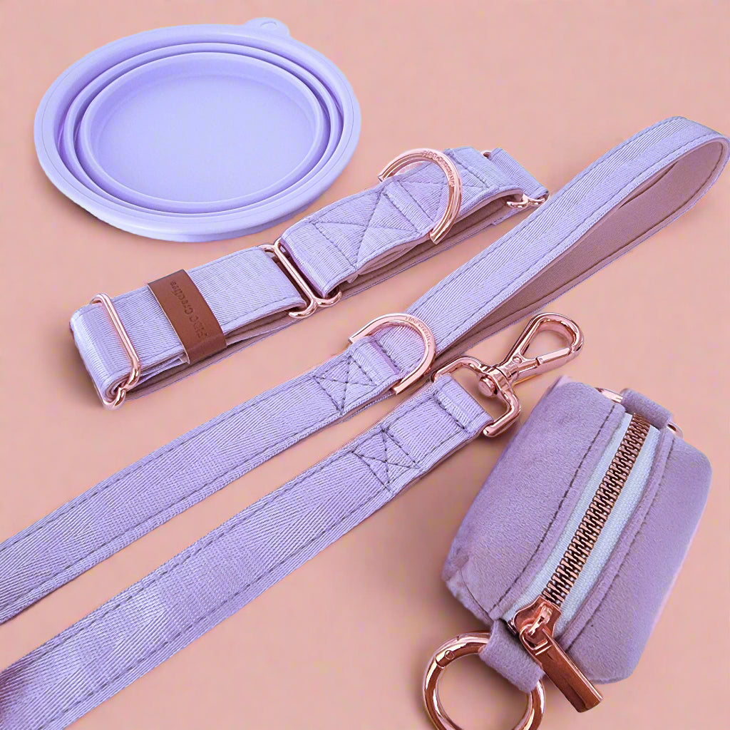 Lilac dog collar and leash set 