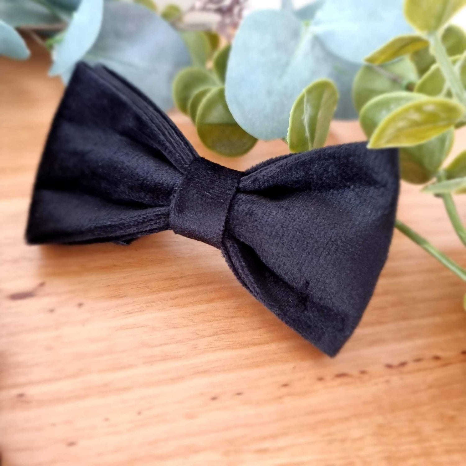 Black bow tie for dogs