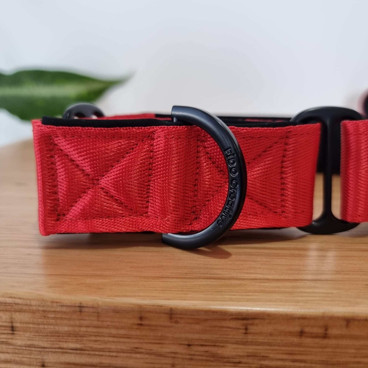 Red and black martingale collar