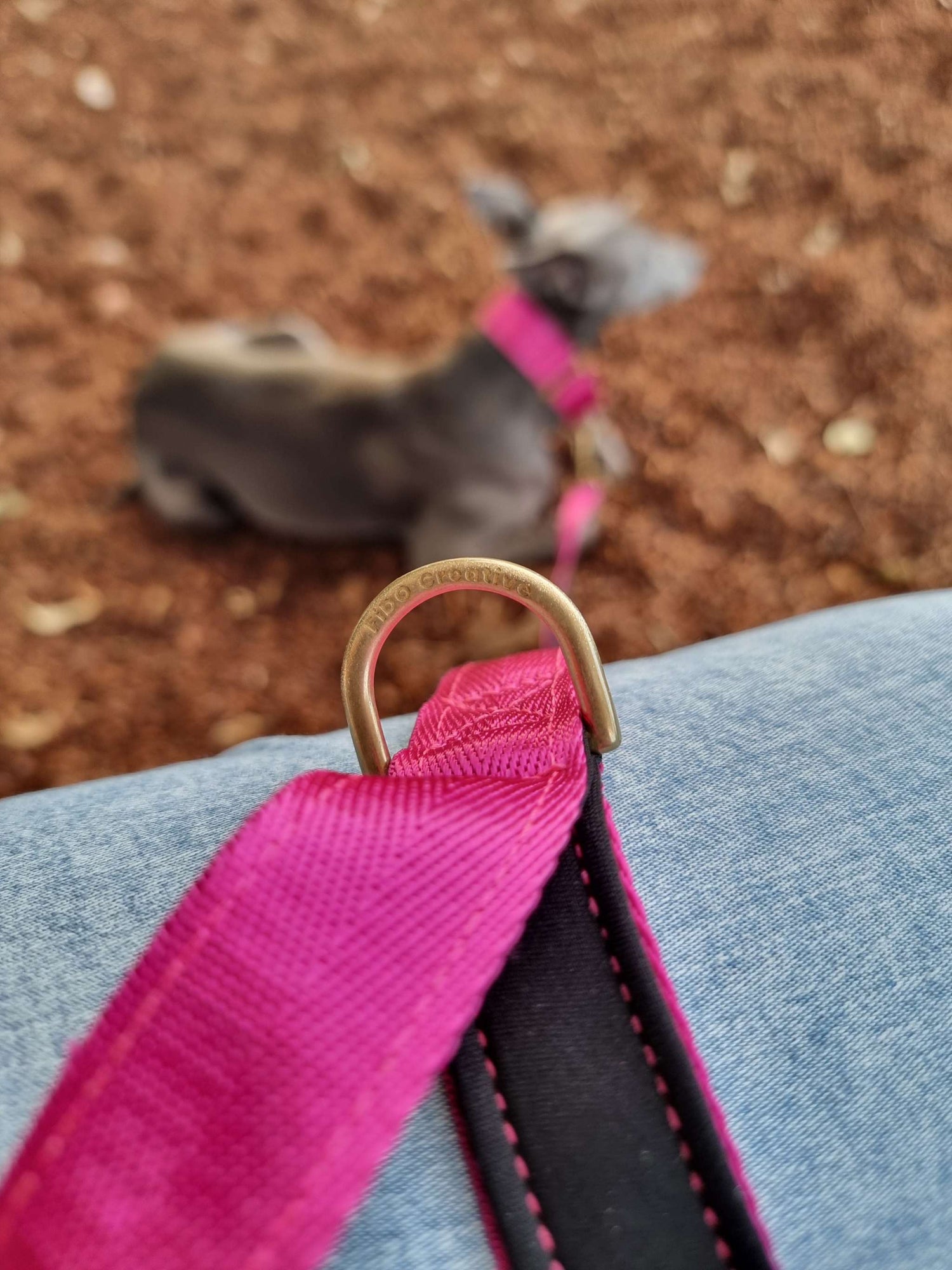 Pink dog leash with solid brass hardware