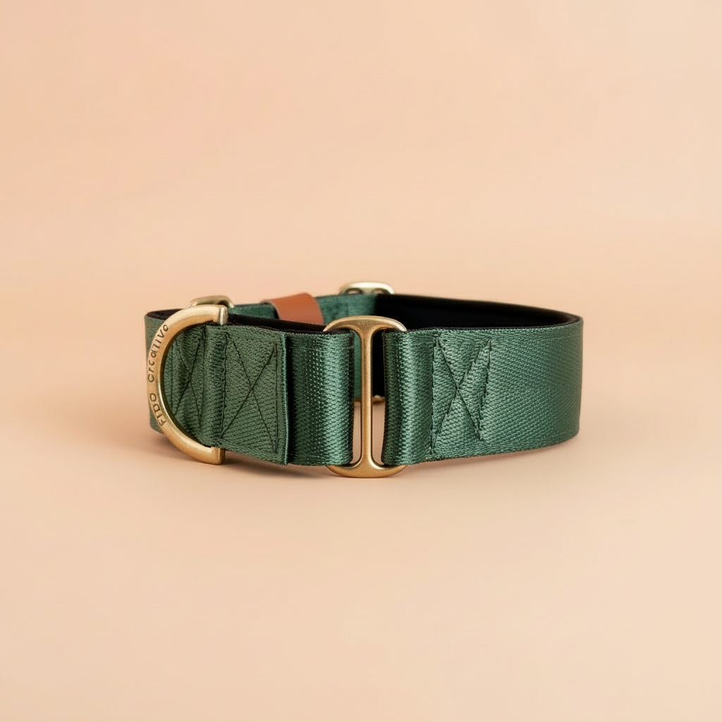 Green Martingale Collar - Padded Dog Collar With Soft Padding, Solid Brass Hardware and optional the option to personalise