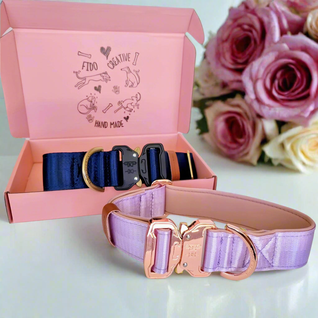 Dog collars made in Australia