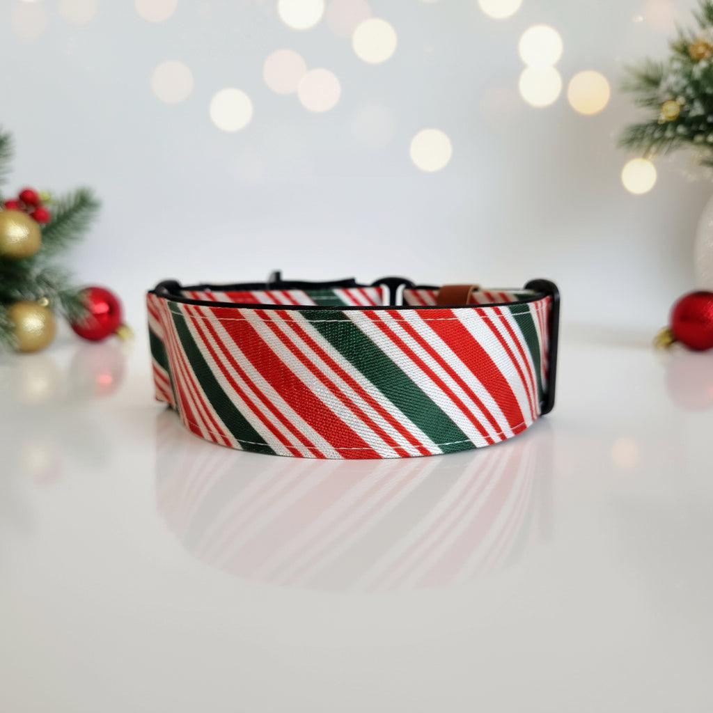 christmas candy cane martingale collar