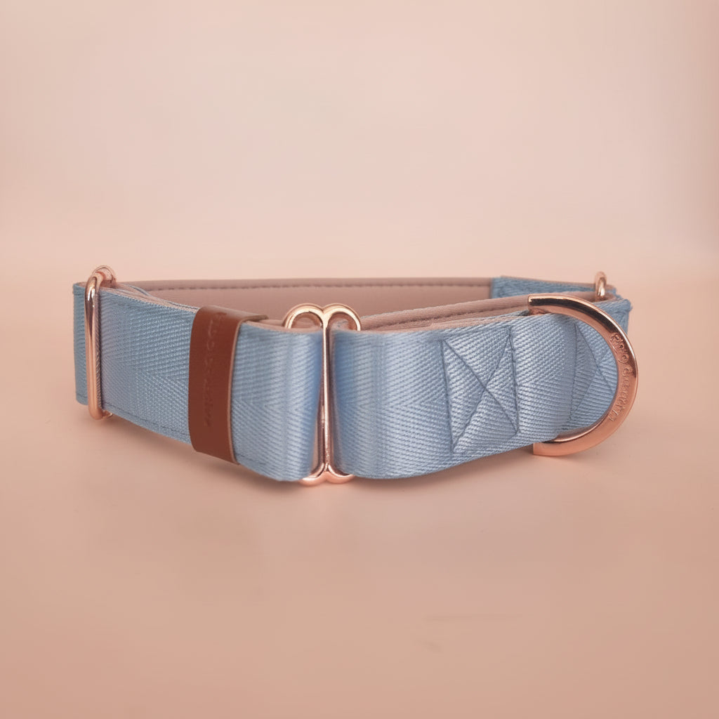 light blue martingale dog collar