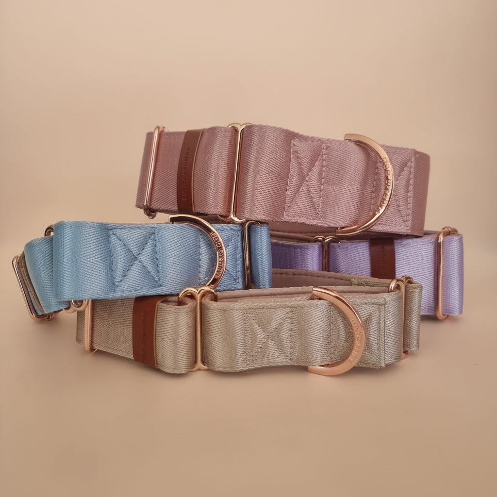 martingale dog collars