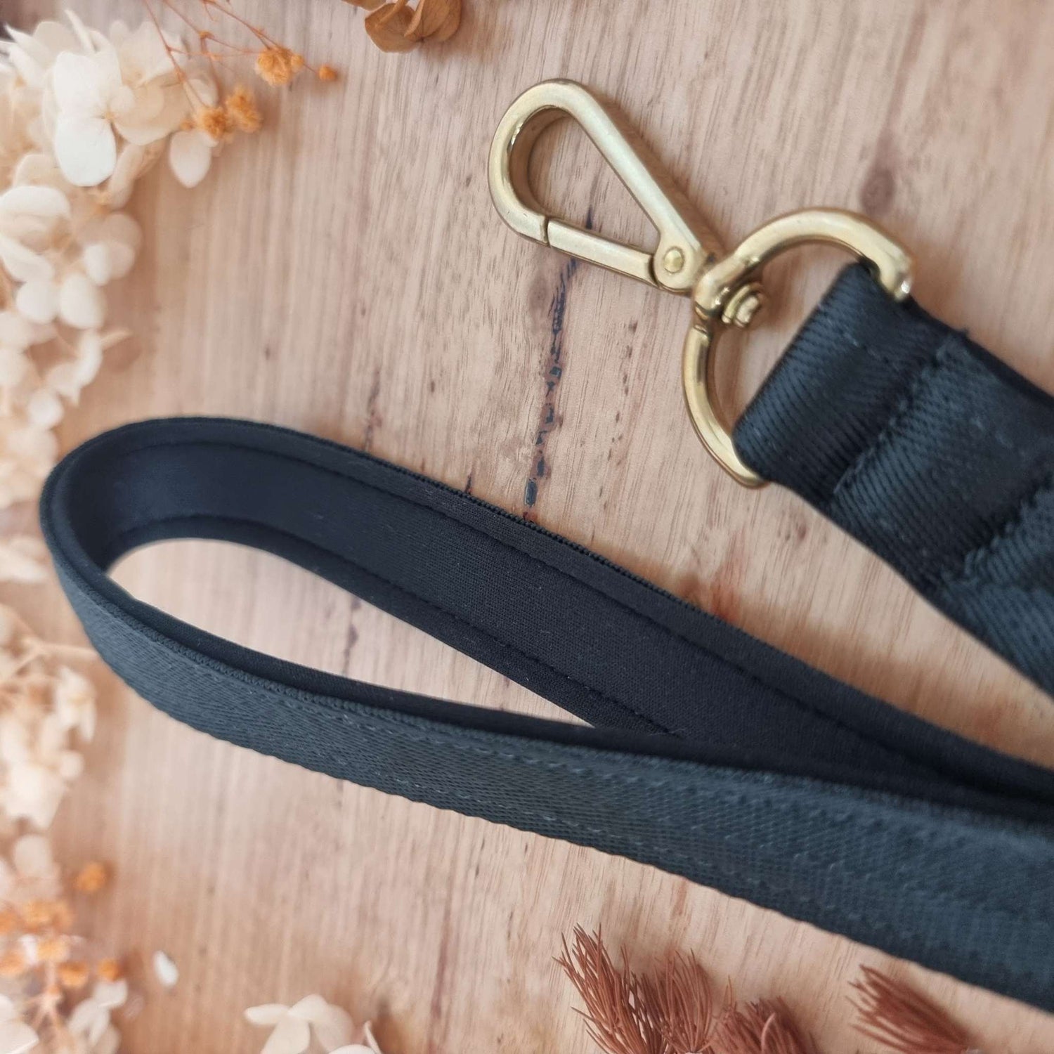 black dog leash