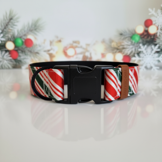 Candy Cane Christmas Dog Collar – Choose your buckle style