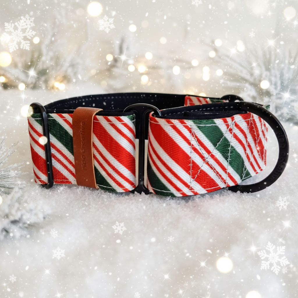 Candy cane stripe martingale collar