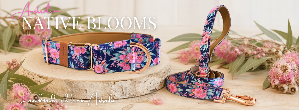MARTINGALE COLLAR AND LEASH SET WITH FLORAL PATTERN