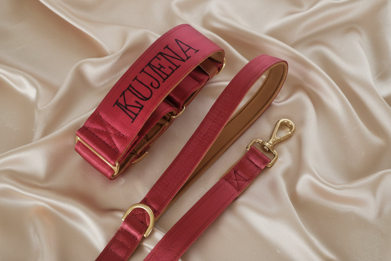Maroon dog leash with gold hardware