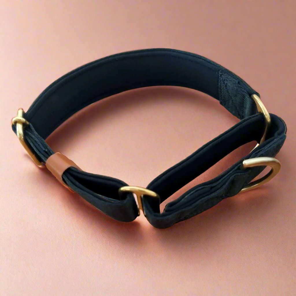 Black greyhound martingale collar