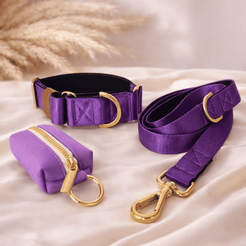 Padded Dog Leash - Royal Purple Neoprene Leash with Soft Grip
