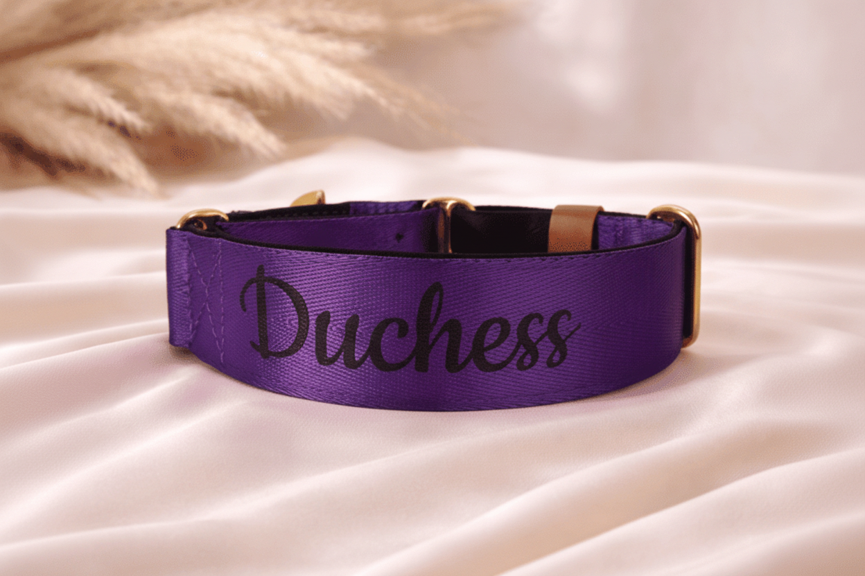 Royal Purple Personalised Dog Collar – Padded Buckle Collar with Optional Name Printing