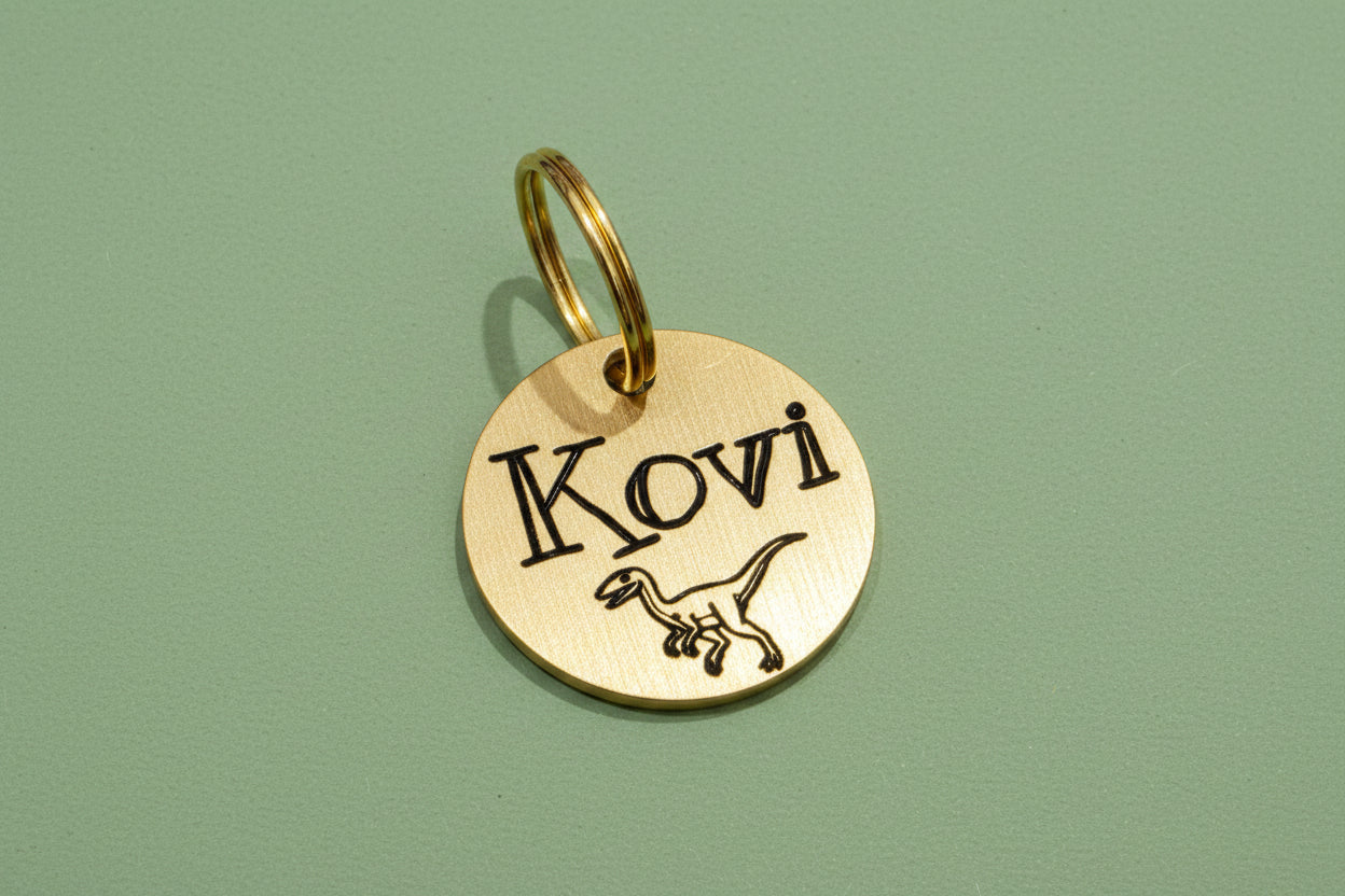 custom_design_brass_Pet_identification_tag