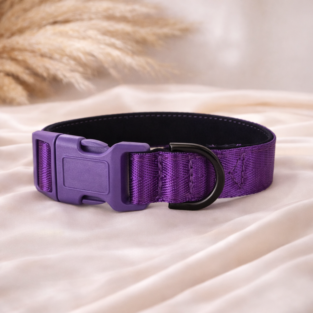 Royal Purple Personalised Dog Collar – Padded Buckle Collar with Optional Name Printing