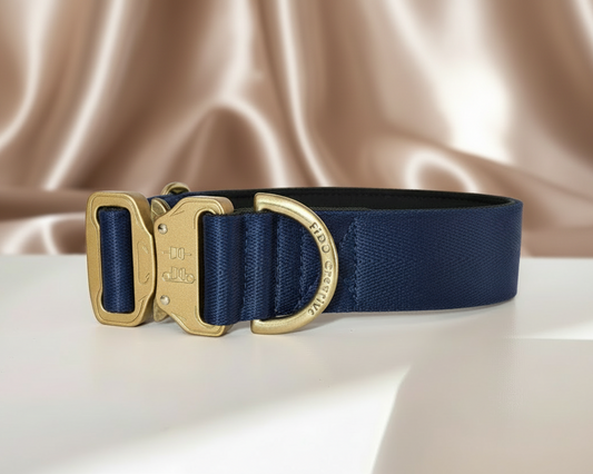 Navy Blue Personalised Dog Collar – Padded Buckle Collar with Optional Name Printing