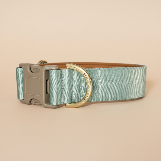 Dog collar with green fabric and gold buckle on a beige background