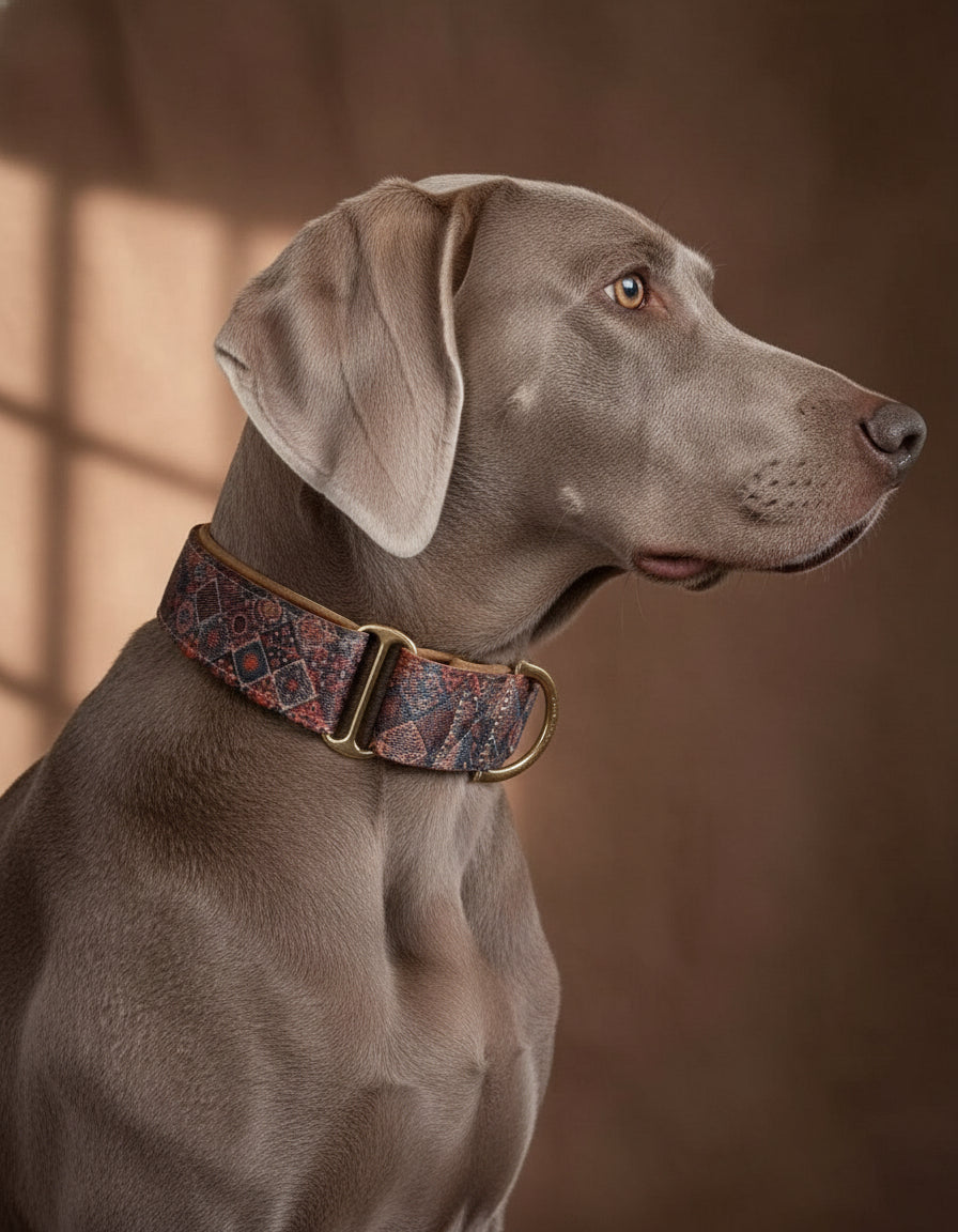 Persian Mosaic Padded Martingale Collar – Padded Dog Collar