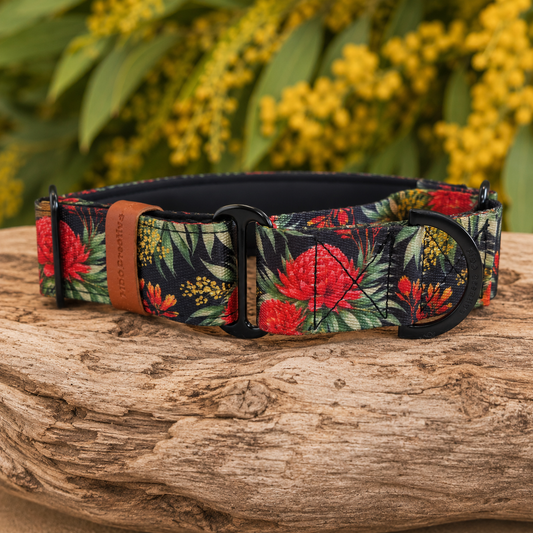 Floral-patterned martingale dog collar on a wooden surface with a natural background