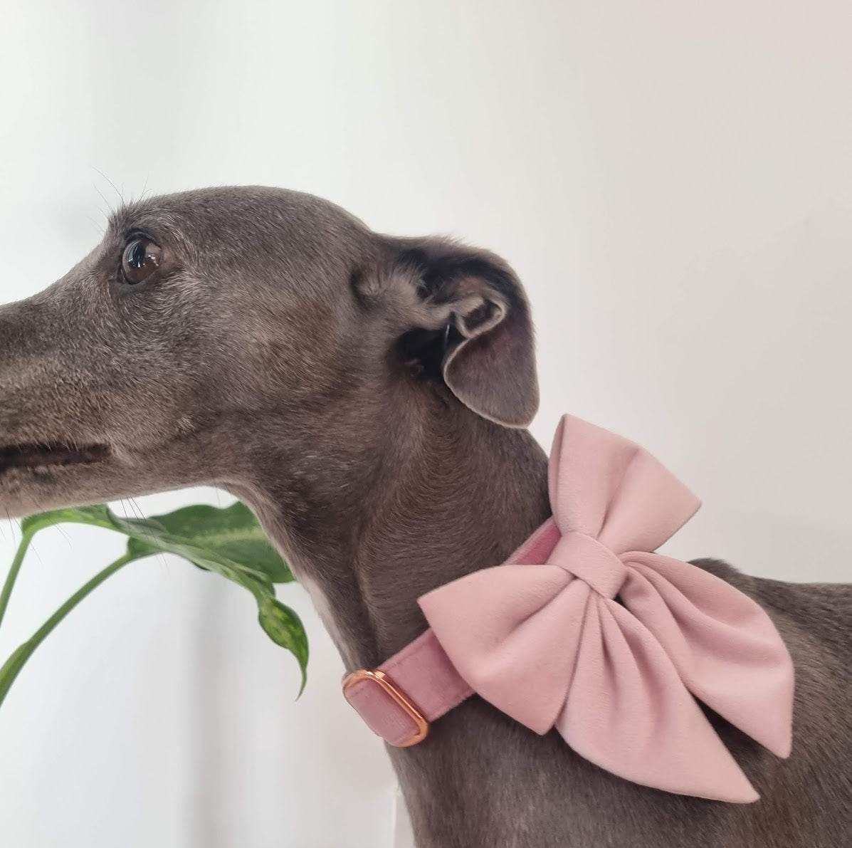 Pink wedding dog bow tie