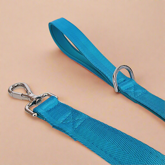 Blue dog leash with padded handle 