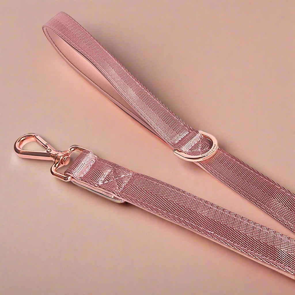 Light pink dog leash with padded handle 