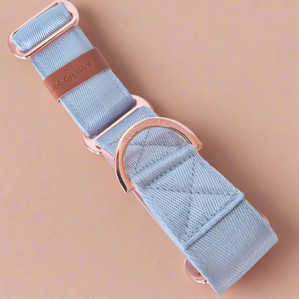 Sky blue martingale collar 