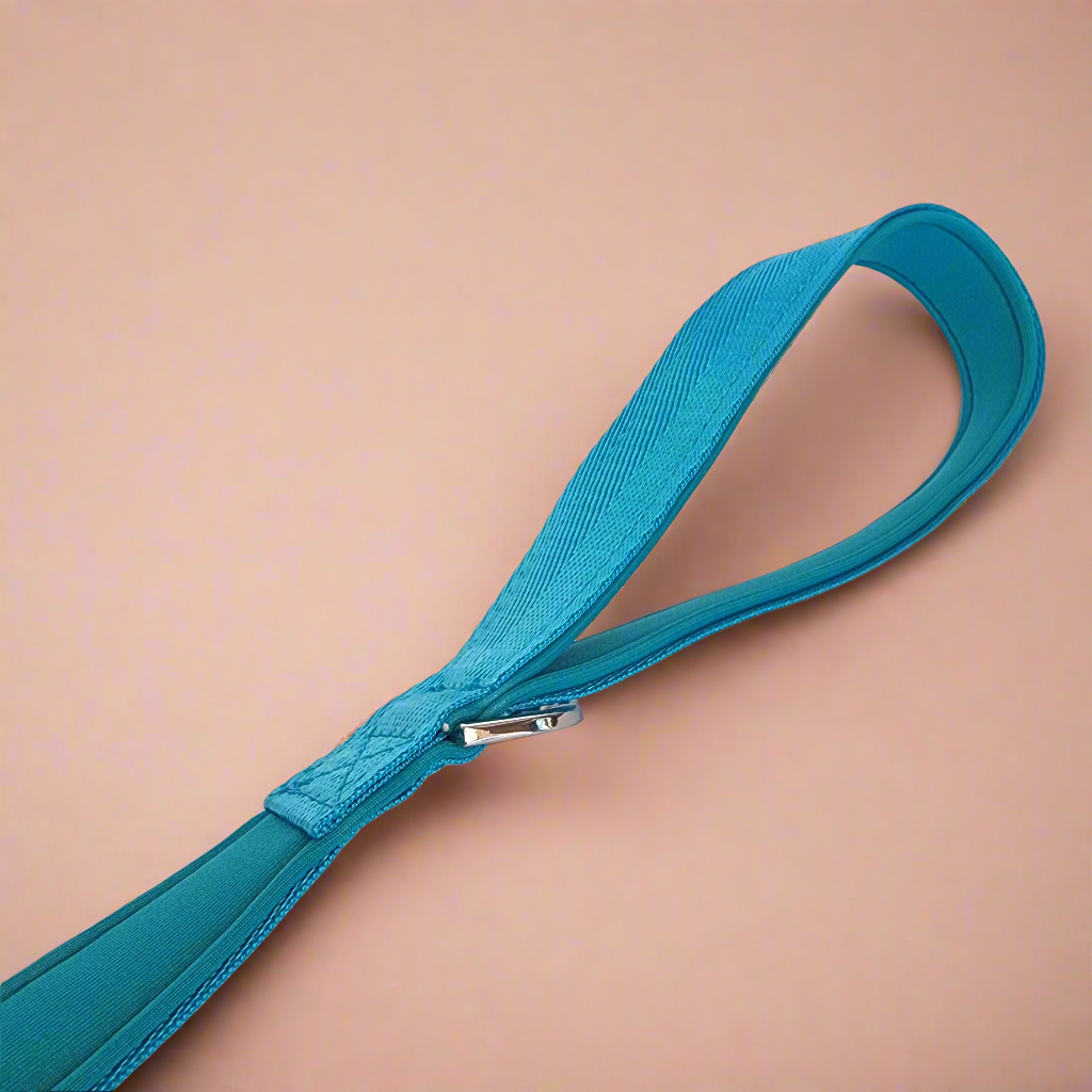 Padded dog leash blue
