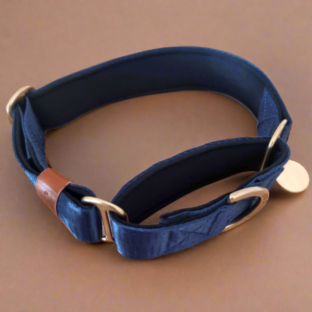 Navy blue greyhound collar 