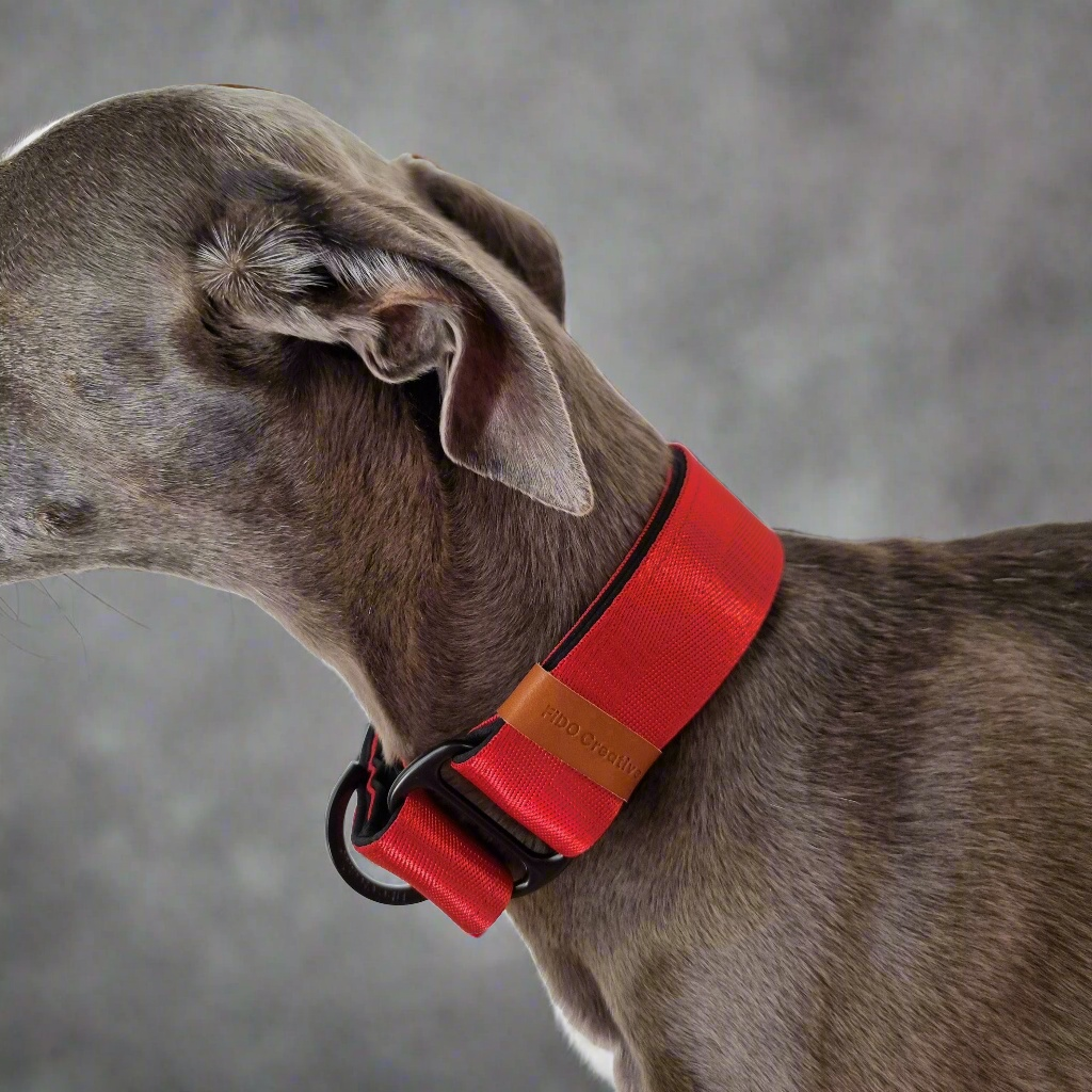 Red whippet collar