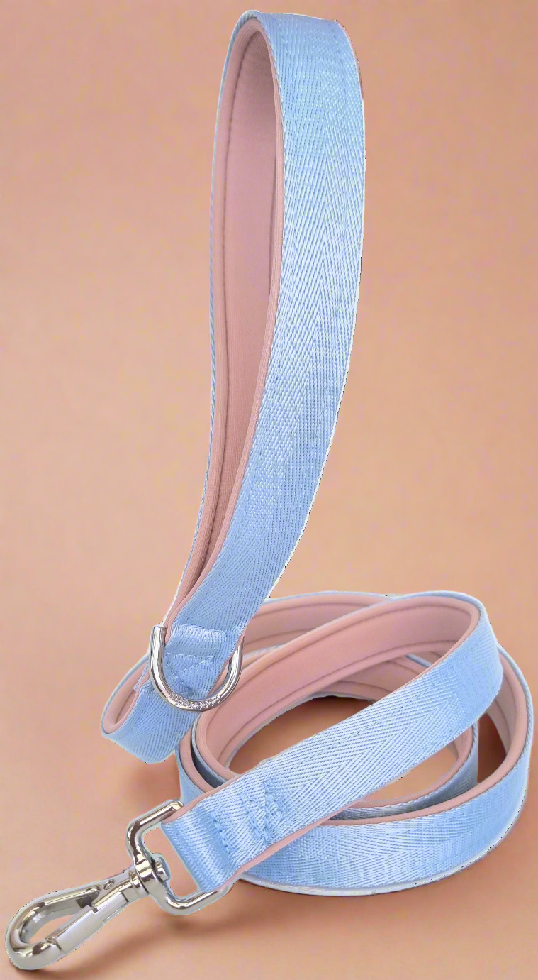 Baby blue dog leash 