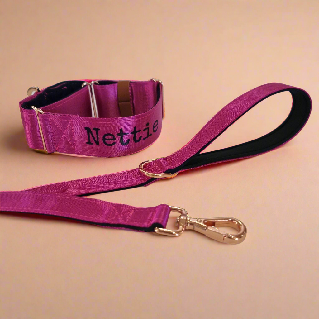 Pink dog name collar and leash set