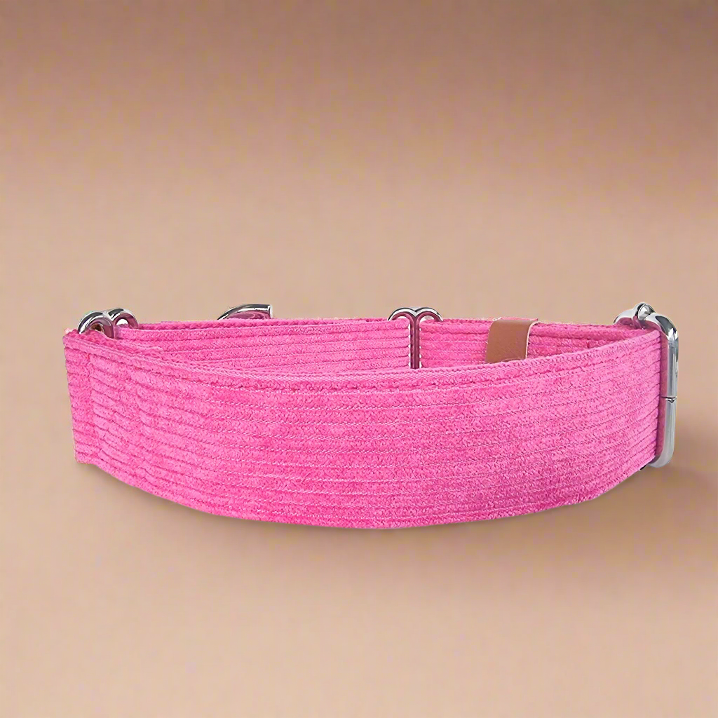 Hot Pink Corduroy Martingale Collar