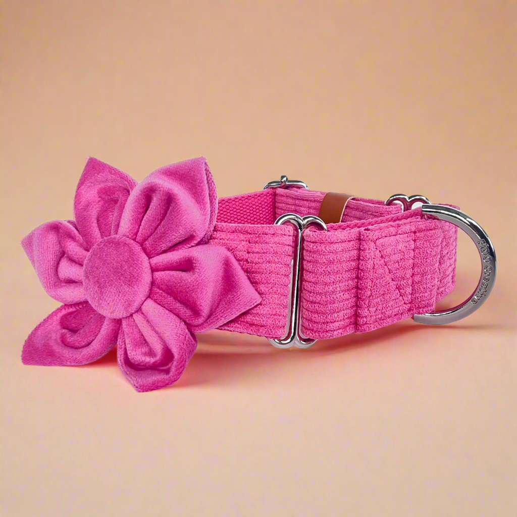 Hot Pink Corduroy Martingale Collar
