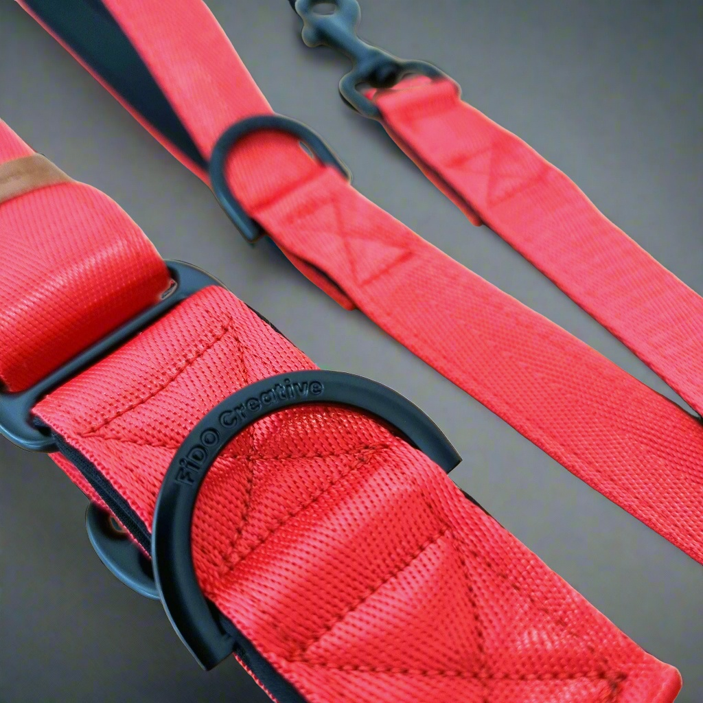 red martingale collar and leash