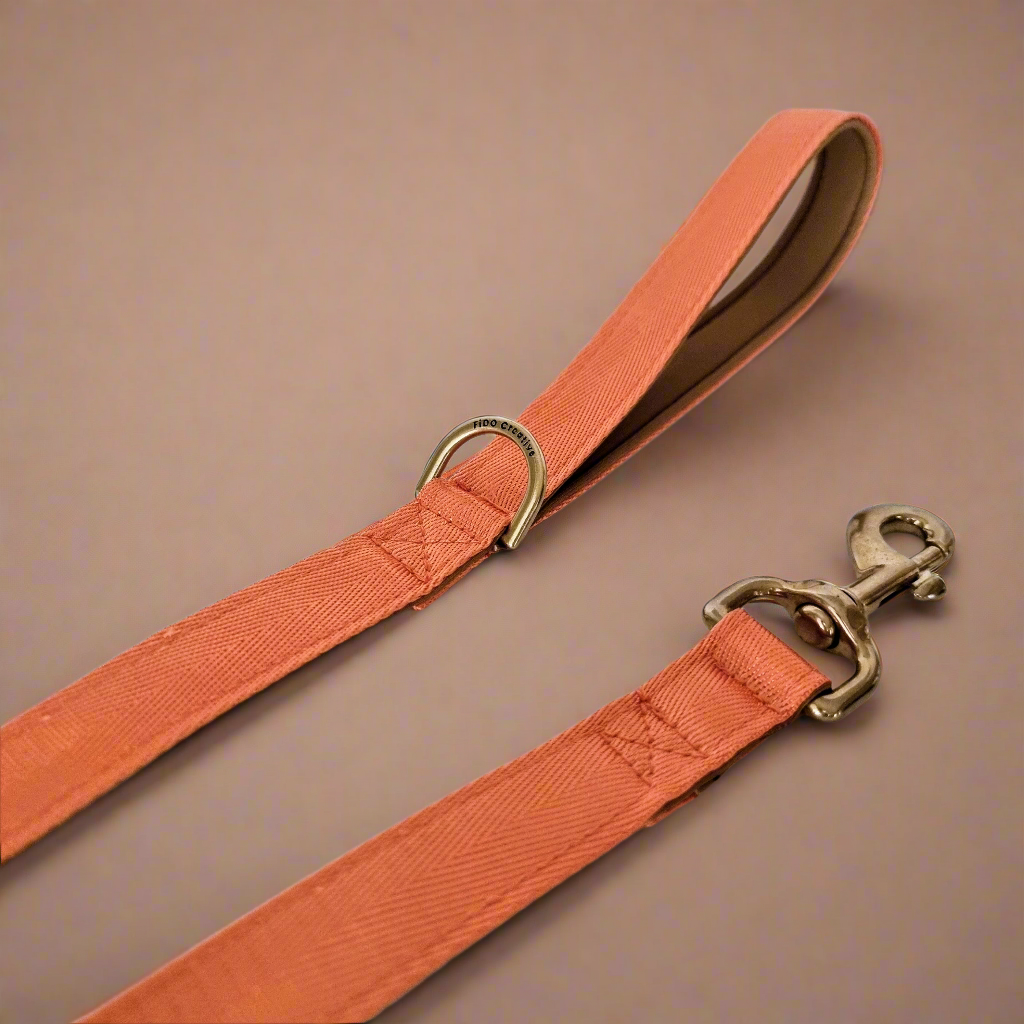 Orange padded dog leash 