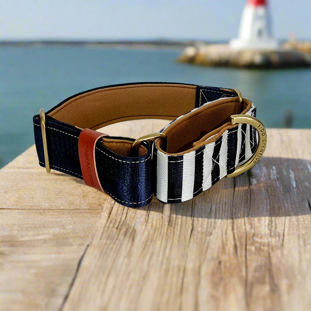 Navy martingale dog collar