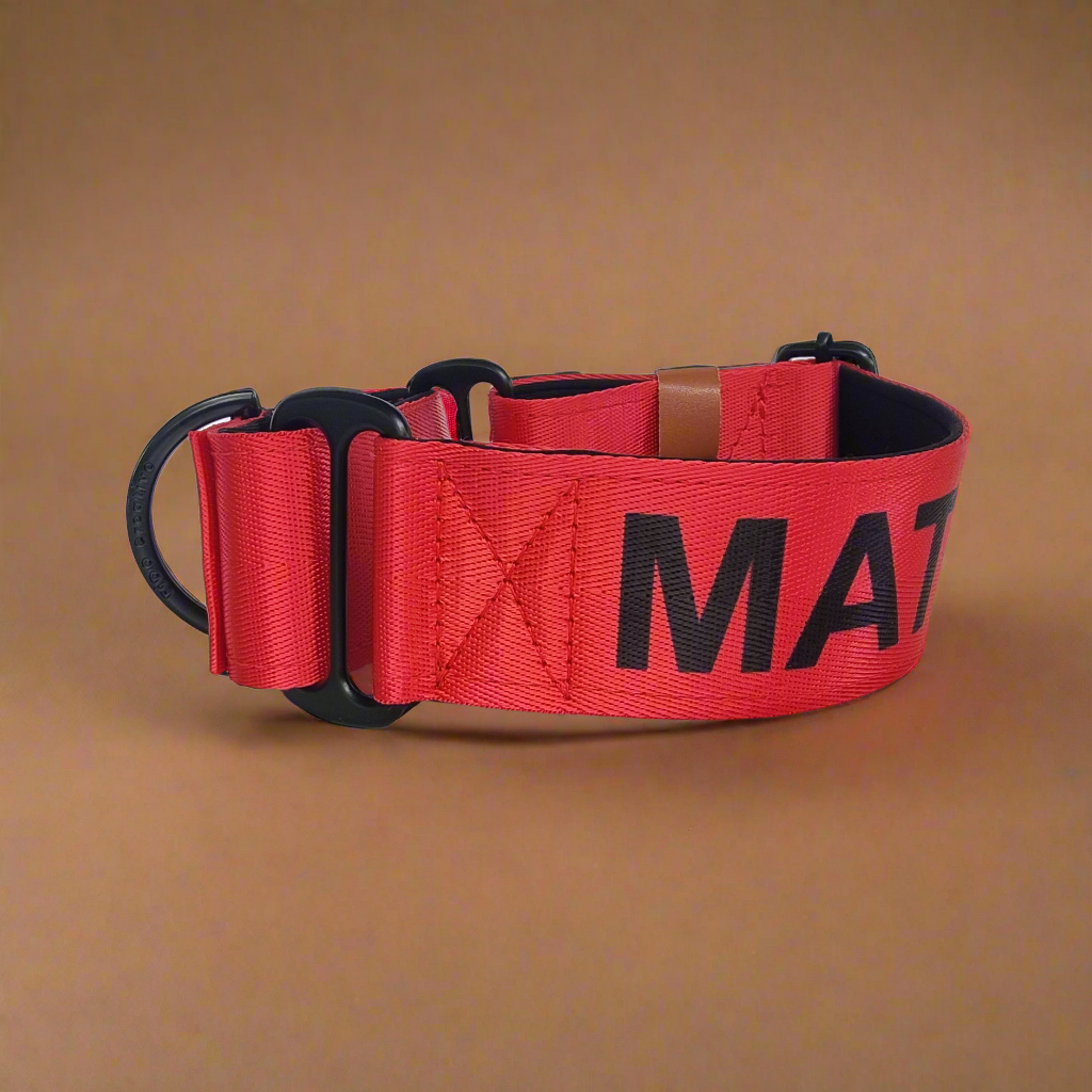 Red martingale collar with name