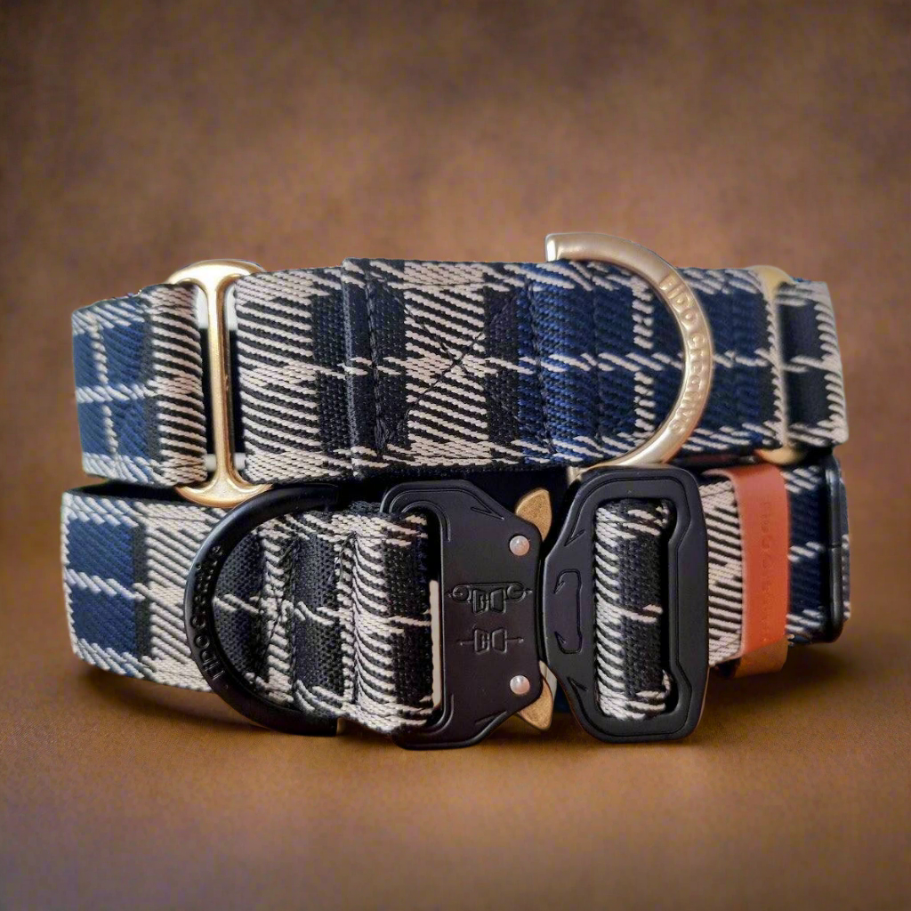 Tartan dog collars 